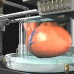 В Израиле ученые впервые в мире напечатали в формате 3D живое сердце из человеческой ткани